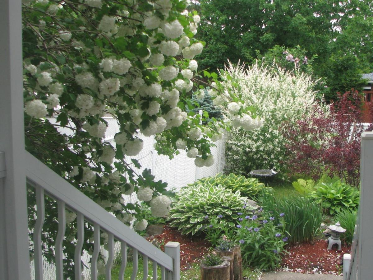 Magnolia B&B Granby Esterno foto