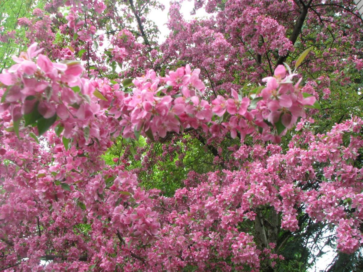 Magnolia B&B Granby Esterno foto